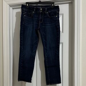 American Eagle Outfitters Artist Crop Stretch